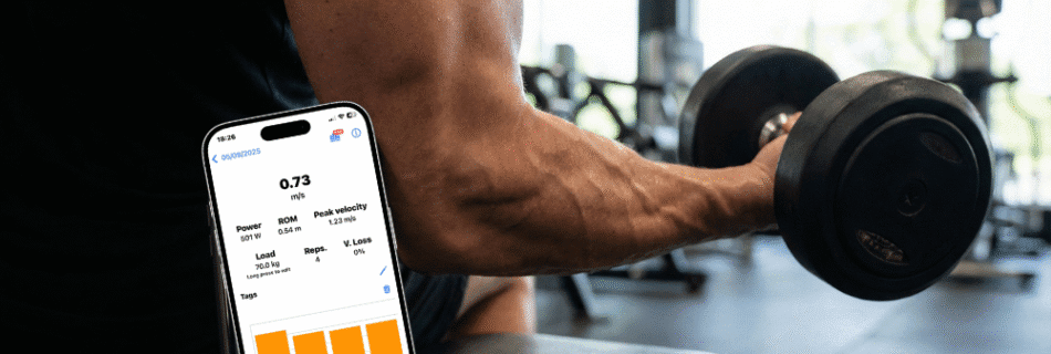 11 950x320 - Hipertrofia vs. Hiperplasia: Comprensión de los mecanismos de crecimiento muscular